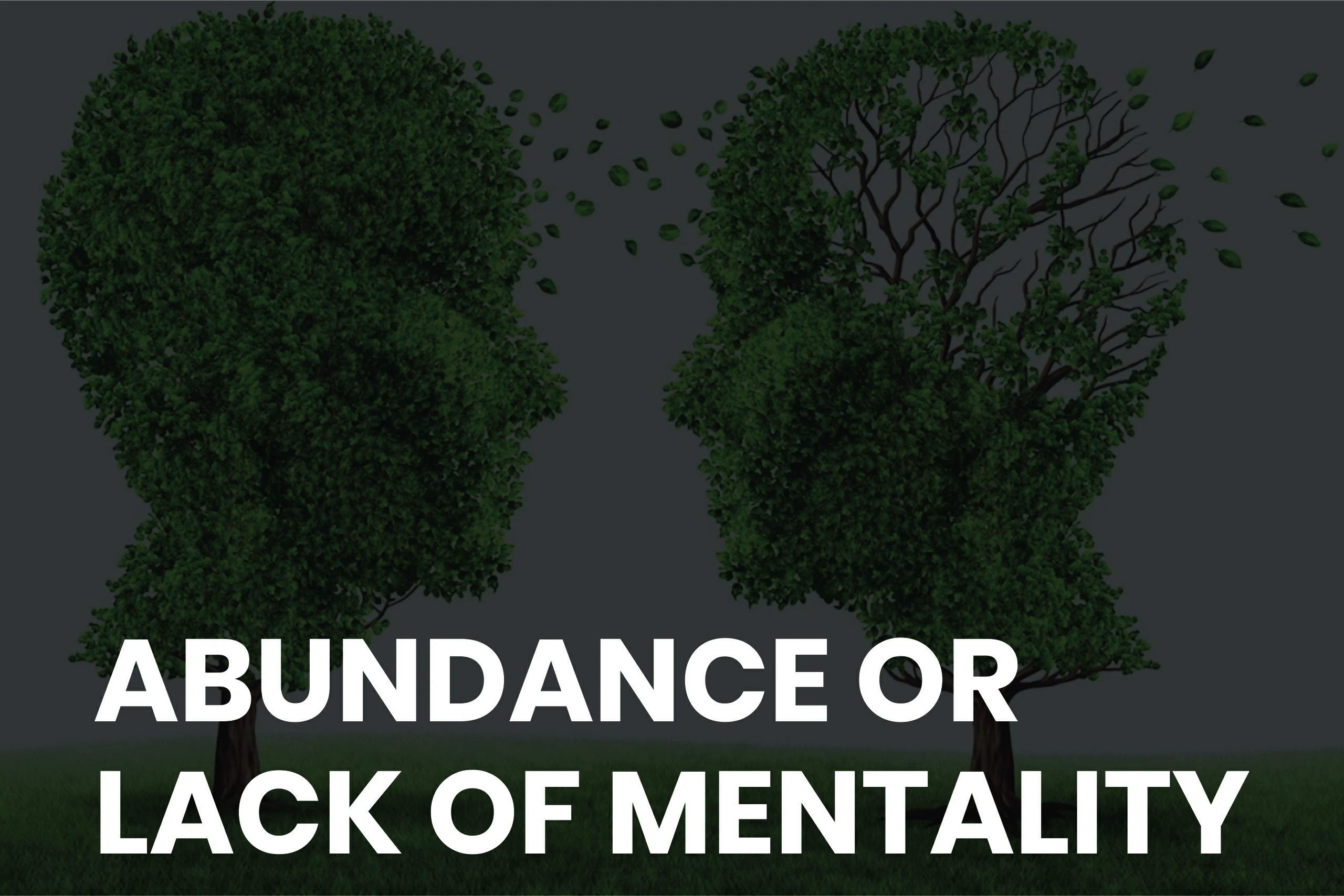 Abundance or Lack of Mentality