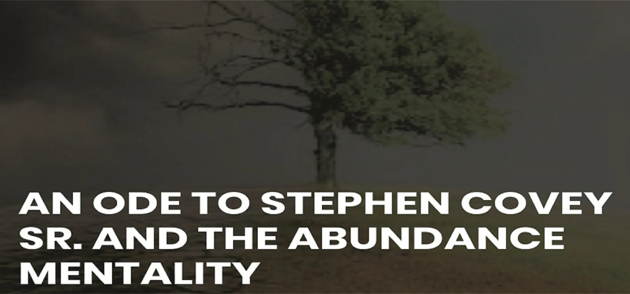 An Ode to Stephen Covey Sr. and The Abundance Mentality